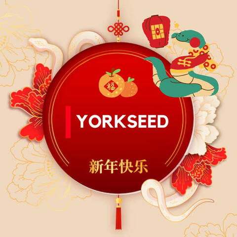 Yorkseed Paris: Chinese New Year Dinner – Friends & Family 🏮🐉
